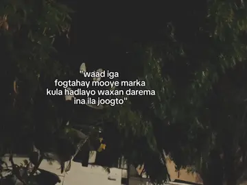 Habenkii . . . #fyp #foreyou #somalitiktok #lander 