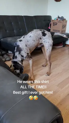 Link in comments to where I got it! Just in case you want to know! #marriedlife #mangiftideas #manshirt #golfshirt #funnyshirt 