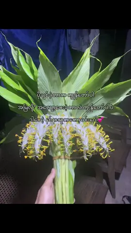 တရားပါတယ် 💕#fypage #fyp #livephoto #moots? #ရောက်ချင်တဲ့နေရာရောက်👌 #trending #cr7 #Relationship #girlfriend #nature #trend 