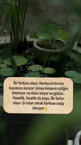 #keşfettt #tiktokkkkk #