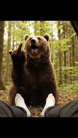 Pošli to někomu a popřej mu tím dobré ráno! 📸🐻