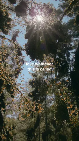 We heard it's called 
