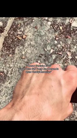 😂😂 #7elekberli 