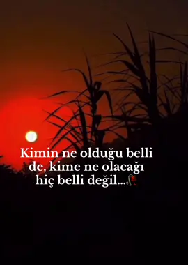 #🥀🥀😌 