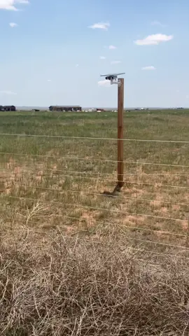 I shouldn’t have to block a camera pointed at my yard on 40 acres my business is not your business #fyp #foryoupage #fypシ #santafe #newmexico #neighbors #neighbornightmare 
