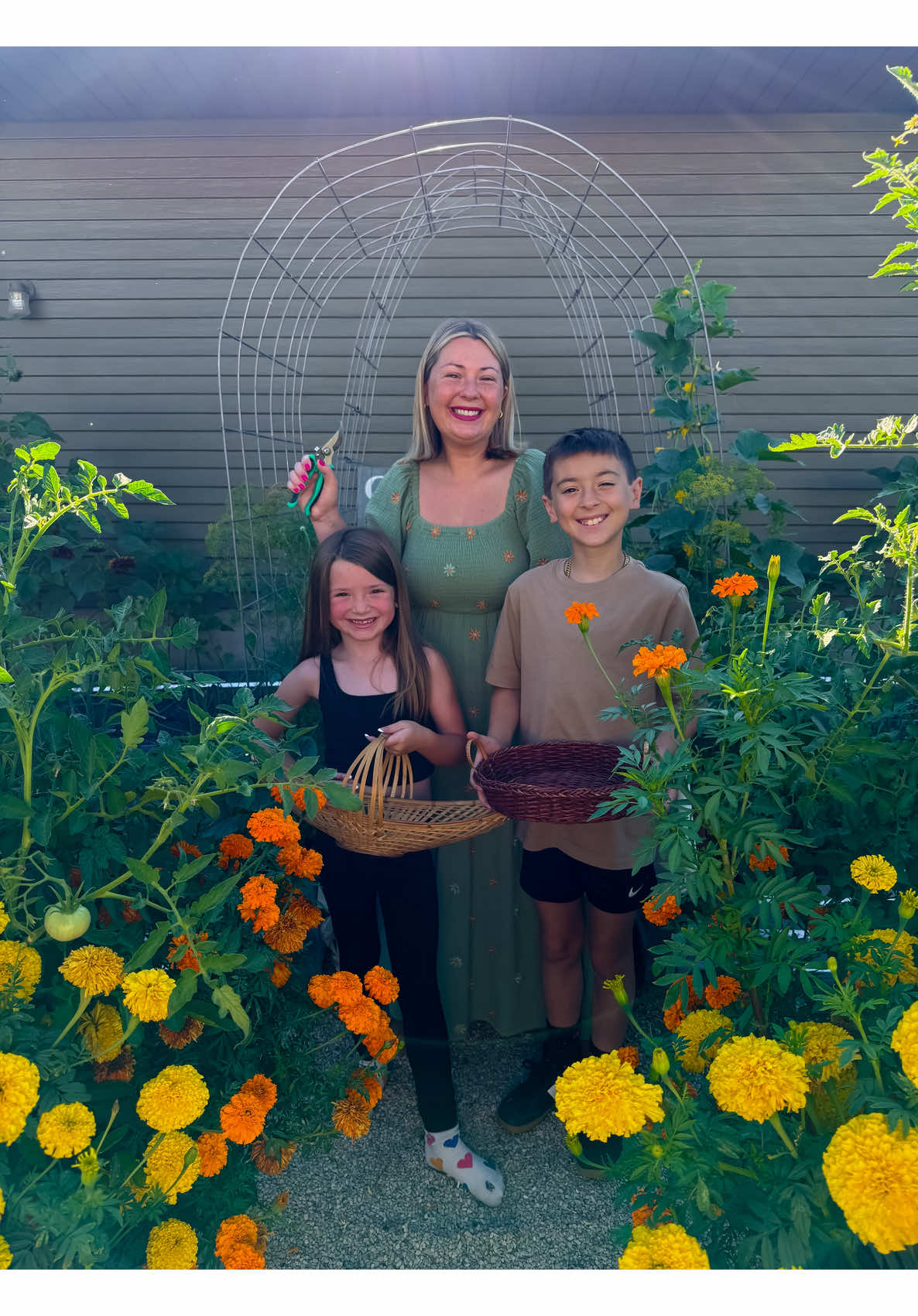 We’re having a harvesting contest to see who can pick the most tomatoes! #harvestingtomatoes #backyardharvest #tomatoharvest 