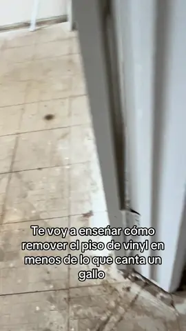 Una forma rápida de quitar el piso de  vinyl en menos de lo que crees #construction #flooring #viny 