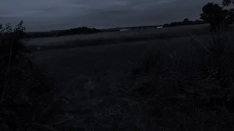 dark vibes  #reel #fypシ゚ #vibes #рек #atmosphere #darkness 