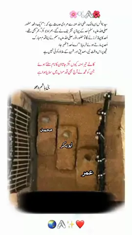 حضرت عمر فاروق رضی اللہ عنہ کی آخری خواہش اور تدفین کا مکمل واقعہ حضرت عمر فاروق رضی اللہ عنہ، اسلام کے دوسرے خلیفہ راشد، اپنی بے مثال عدل، تدبر اور بہادری کے لیے جانے جاتے ہیں۔ ان کی شہادت اور تدفین کا واقعہ اسلامی تاریخ کے اہم ترین واقعات میں سے ایک ہے، جو ان کی عظمت اور رسول اللہ صلی اللہ علیہ وسلم سے ان کی گہری عقیدت کو نمایاں کرتا ہے۔ شہادت کا المناک واقعہ یہ واقعہ 26 ذی الحجہ 23 ہجری کا ہے جب حضرت عمر رضی اللہ عنہ فجر کی نماز کی امامت فرما رہے تھے۔ ایک مجوسی غلام، جس کا نام فیروز ابولؤلؤ تھا، نے آپ پر خنجر سے حملہ کر دیا۔ ابولؤلؤ اس سے پہلے حضرت عمر رضی اللہ عنہ سے شکایت کر چکا تھا کہ اس کے آقا (مغیرہ بن شعبہ رضی اللہ عنہ) اس سے بہت زیادہ ٹیکس لیتے ہیں۔ حضرت عمر رضی اللہ عنہ نے تحقیق کے بعد اس کی شکایت کو غیر معقول قرار دیا تھا، جس پر وہ رنجیدہ تھا۔ ابولؤلؤ نے حضرت عمر رضی اللہ عنہ پر چھ وار کیے، جن میں سے تین مہلک ثابت ہوئے۔ حضرت عمر رضی اللہ عنہ شدید زخمی ہو گئے، لیکن اس حالت میں بھی آپ نے حضرت عبدالرحمٰن بن عوف رضی اللہ عنہ کو نماز مکمل کرنے کا حکم دیا اور خود لوگوں کو بیدار کرنے لگے۔ حملہ آور کو پکڑنے کی کوشش کی گئی، لیکن اس نے خودکشی کر لی۔ آخری لمحات اور وصیت شدید زخمی ہونے کے بعد حضرت عمر رضی اللہ عنہ کو ان کے گھر لے جایا گیا۔ اس حالت میں بھی آپ نے صحابہ کرام سے پوچھا کہ 