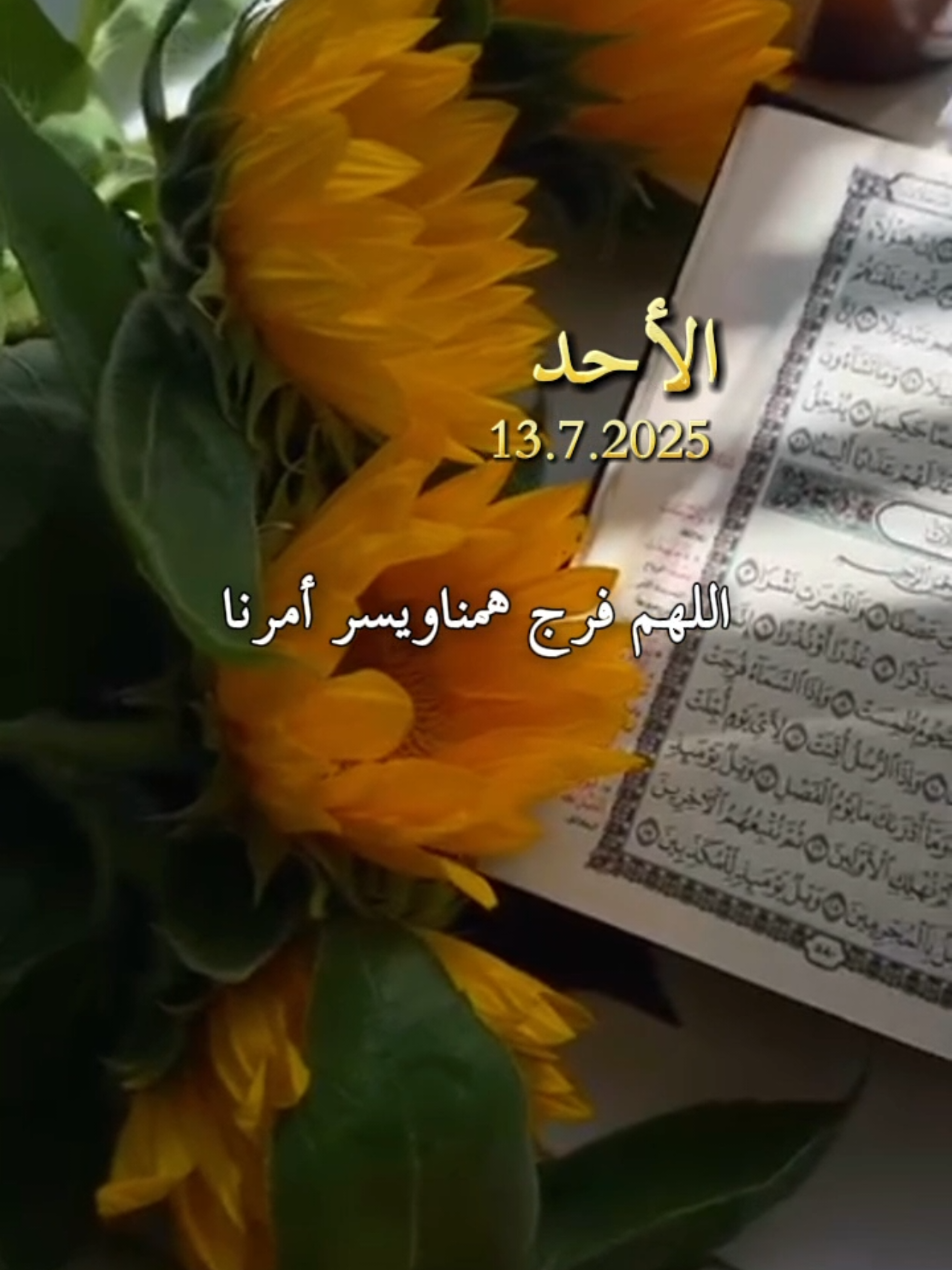 اللهم في هذه الساعة يارب اللهم أكرمنا ولا تحرمنا🤲❤️🥰#دعاء #يوم #الاحد #يارب🤲 @بسم الله #دعاء_جميل #اللهم_امين_يارب_العالمين #دعاء_الصباح #دعاء_يريح_القلوب_ويطمئن_النفوس #يارب🤲 #❤️يارب💕 #دعاء #صباح #الاحد #fyp #forypupage #muslim #fyppppppppppppppppppppppppppppppppppp #اكسبلور #explore #❤️ #🤲 #ادعية #صباحيات #صباحكم_أحلى_صباح #🤲#يارب💕 #امين_يارب #العالمين #explore #الاحد 