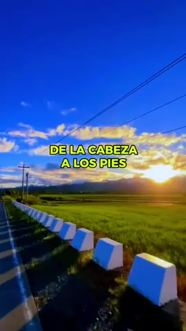 De la cabeza a los pies - Jerry Rivera @Jerry Rivera @Jerry Rivera Fans SV #jerryrivera #Salsa #parati #paratii #fyp #Viral #viralvideo #salseros #salserosdeverdad #salsero #Salsa #delacabezaalospies 