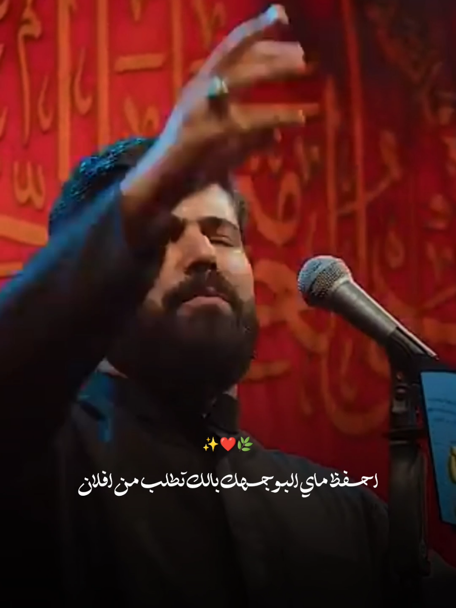 دك باب الوفه ام عباس / علي الساعدي
