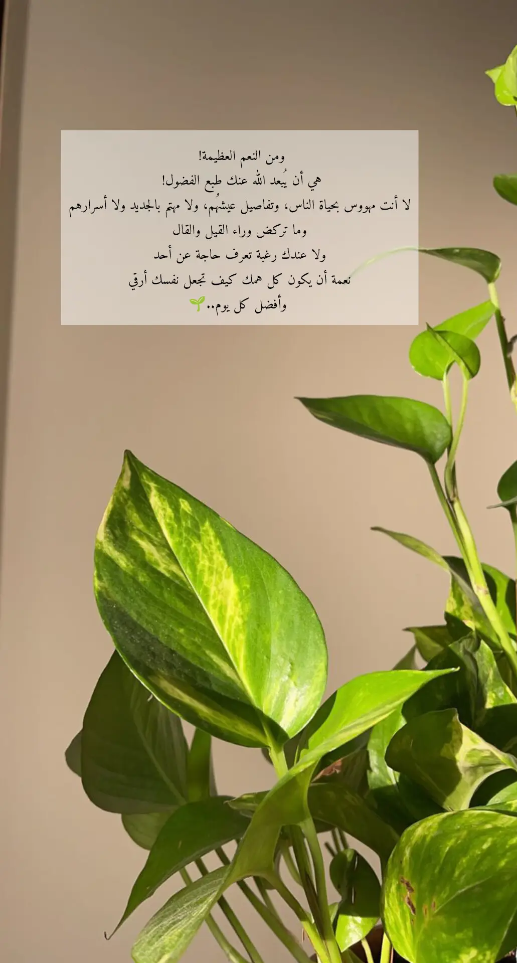 #اكسبلور #fÿpシ #tik_tok #fypppppppppppppppppp 