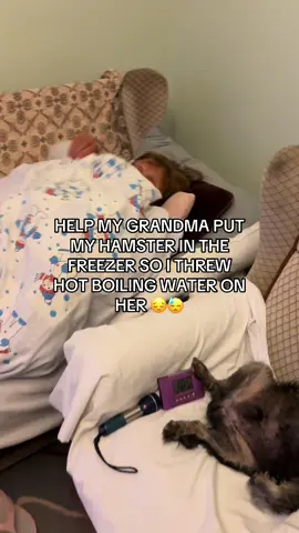 she thought she could get away with it huh #grandma #comedy #hilarious #scene #funny #funnytext #fyp #viral #haha 
