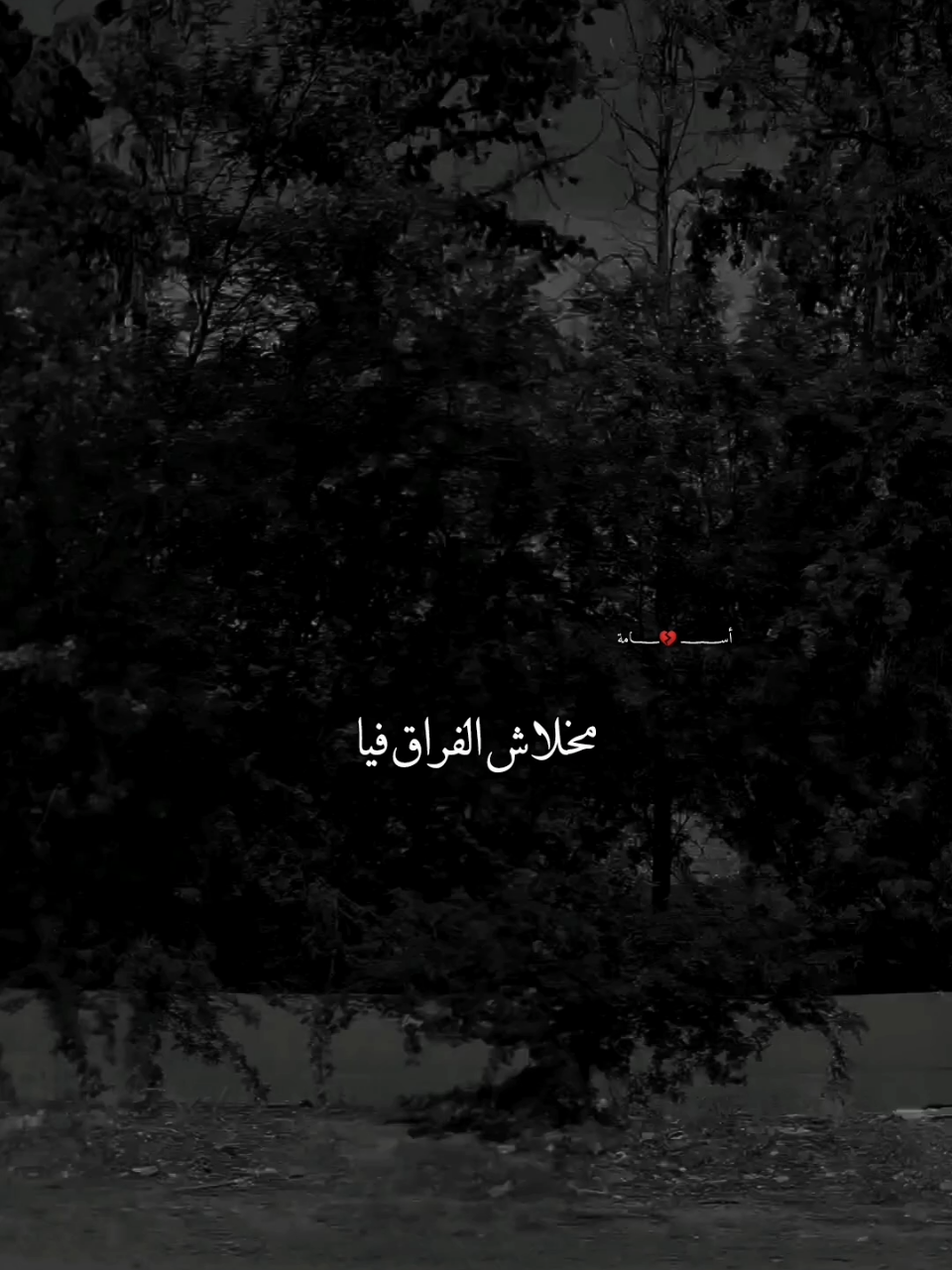 نسيت النوم واحلامه #لانوم_ولادمع_في_عينيا #نسيت_النوم_وأحلامه #شيماء_الشايب @أســـــــــ💔ــــــــامة 