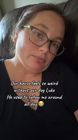 Losing a pet really stinks #rainbowbridge #petloss #lossofdog #heartbroken 