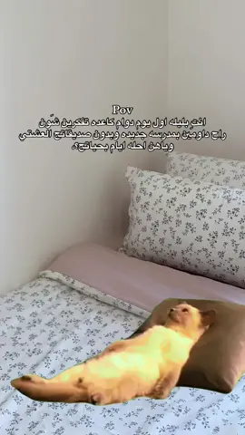#CapCut #fyp #explore #شعب_الصيني_ماله_حل😂😂المقطع_اكسبلور #MemeCut لما يومها حضنتني وبعدين مشينا؟ #MemeCut #creatorsearchinsightsterni  #Meme #MemeCut 