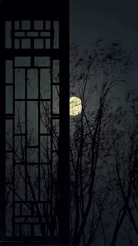 Moon 🌙