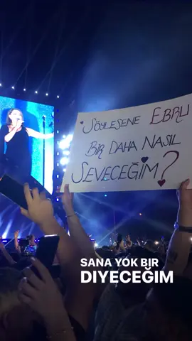 Kalmam 💙 #van #ebruyaşar #kesfetbenionecikar #kesfetteyiz #kültüryolufestivali #konser #fyp #lyrics 