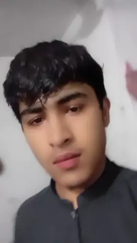 NOOralisk 
