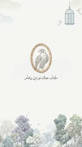 بيبي عز 🤍#دعوات_الكترونيه #اكسبلورexplore #fyp #بشارة_مواليد #😂 