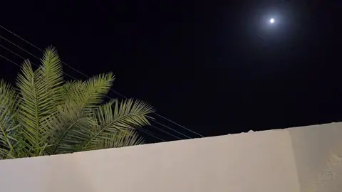 #تصويري #غيث_صباح 
