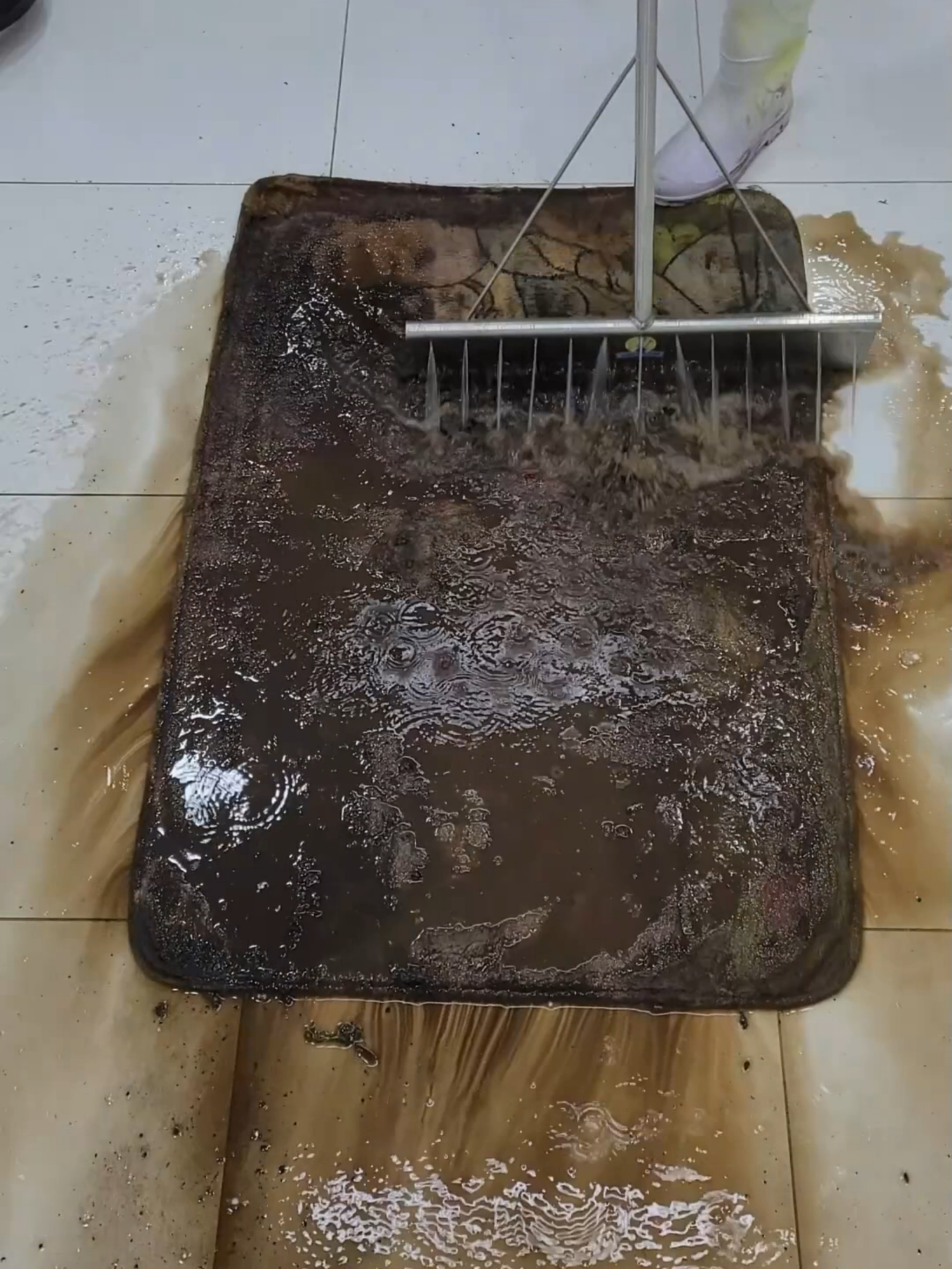 NEW Cleaning satisfying the muddy rug - ASMR RUG CLEANING #asmrcleaning #asmr #cleaning #tiktokusa #tik_tok #SatisfyingClean #CLEANING #explore #asmrsound #asmrcleaningvideo #asmrcarpetcleaning