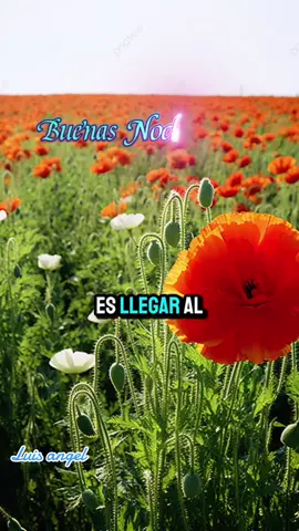 #CapCut #refranes #dios #jesus #amen #reflexion #fracesdelavida #virall 