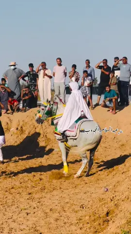 #الله_يبارك_مشاء_الله #خيل_وخياله🐎 #محضوره_من_الاكسبلور_فزعتكم_ياشباب_ 