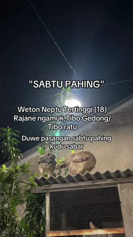 #storytime #weton #wetonjowo #wetonjawa #wetonpahing #sabtupahing 