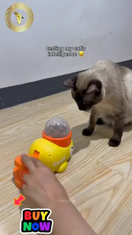 Testing my cats intelligence 😂 Duck pet feeder  #foryou  #foryoupage  #fyp  #tiktok  #viral  #trending  #tiktokshop 