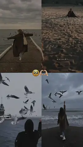 kuşlar benide alın