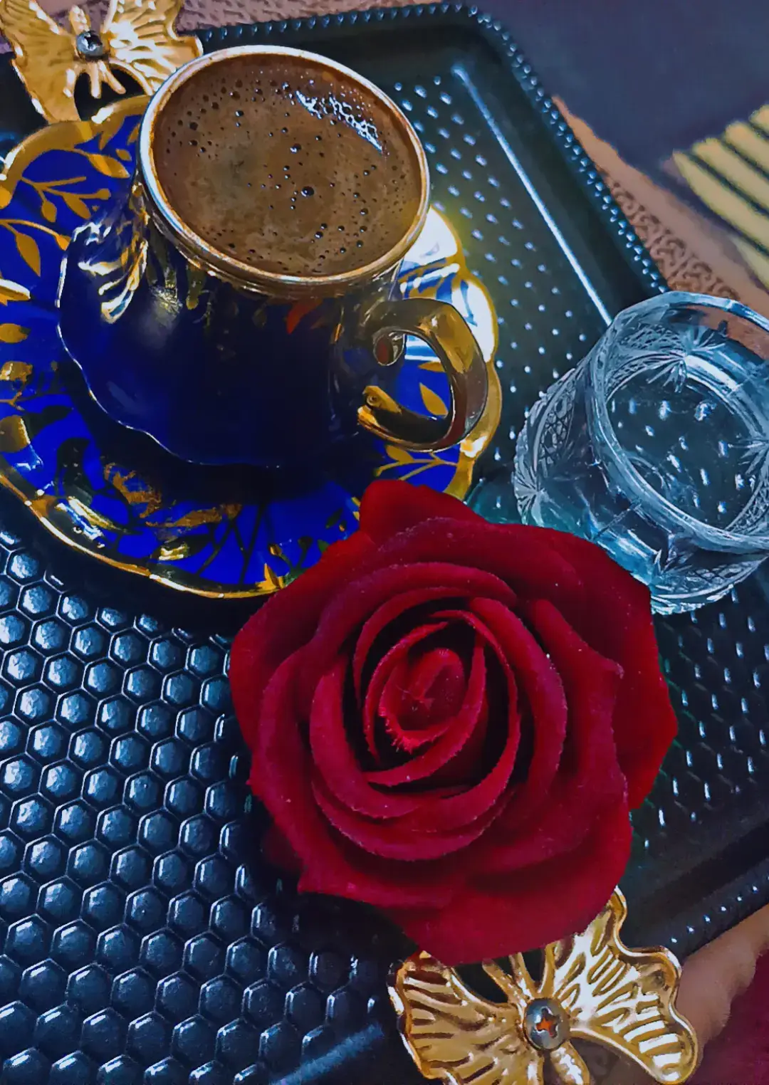 🩶:مـن قآل أنگ بگفهہ وآلعآلمـ بگفهہ آنتآ آلعآلمـ وآلگفتين♥️