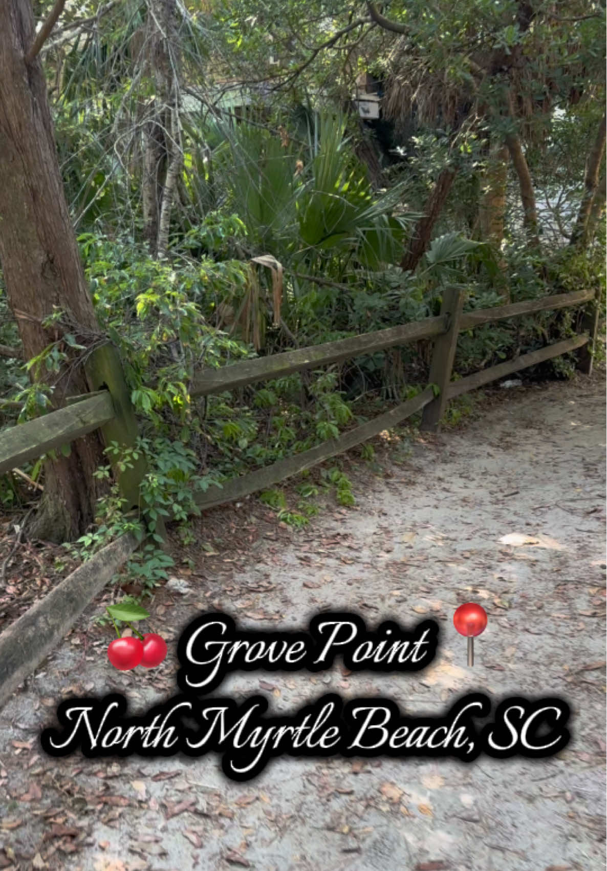 Some say this place is a secret 🤫  Beautiful views all around, chill vibes, and tons of little pool areas for the kids to play in. Doesn’t get much better than this.! 🏝️🐚 #northmyrtlebeach #southcarolina #beachvibes #beachday #beachlife #ocean #summervibes #dadsoftiktok 