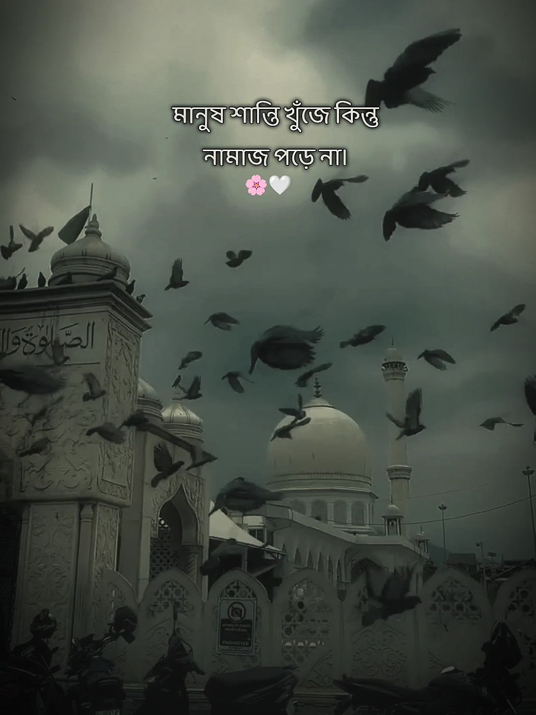 মানুষ শান্তি খোজে.……! #status #islamicstatus #islamic_media #foryoupage #bangladesh🇧🇩 