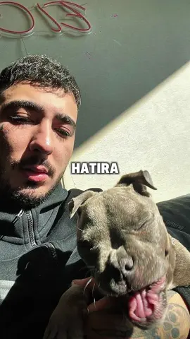 artık hepsi hatıra’ #uzielchavo #uzi #türkçerap 