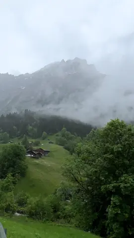 #جريندلوالد #سويسرا#🇨🇭