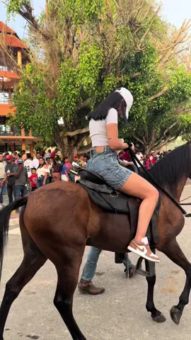 🐎❤️‍🔥