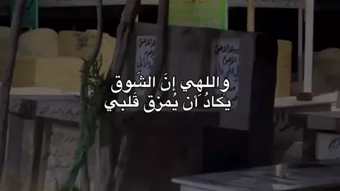 #قصائد_حسينية 