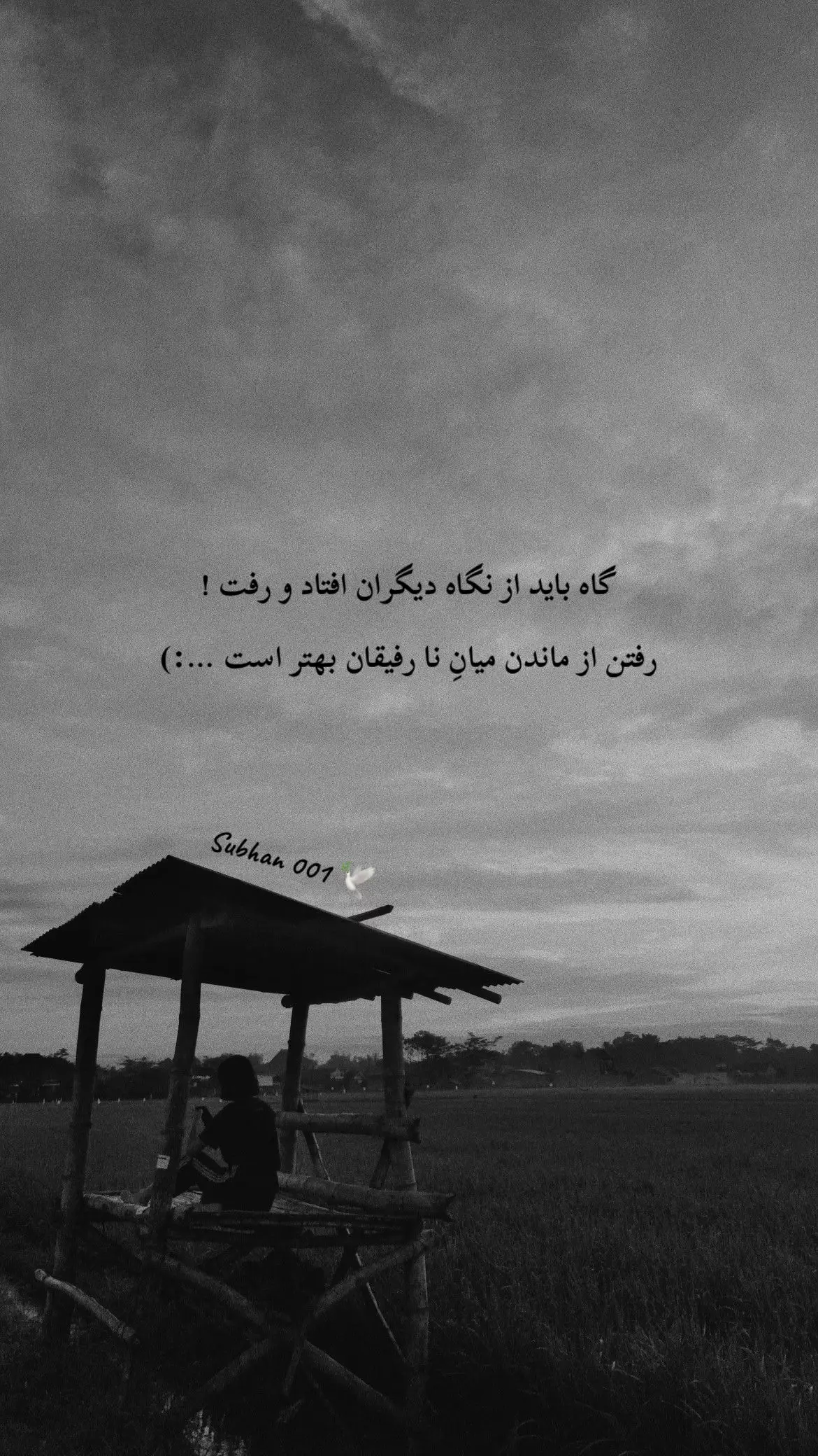 #دلنوشته_های_من🌱🕊️ #subhan001🕊️                                #سخن #دل #غمگین #foryou #viralvideo #explore #followers #fyp #اکسبور 