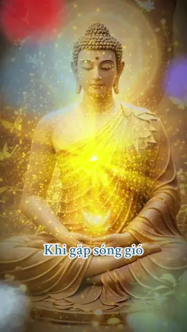 Nam Mô Bổn Sư Thích Ca Mâu Ni Phật 🙏🙏#chiasephatphap #phatphapnhiemmau #xuhuong #thinhhanh #trending #hocphatmoingay #hoccungtiktok 