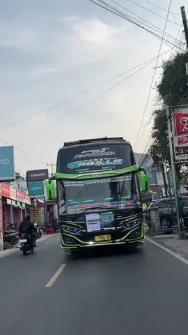 tia monikaa versi QQ Trans “Nabilla” enakeunn ginii💃🎶 #qqtransnabila #qqtrans #nabilabus #fyp #qqtransnabila #qqtrans #nabila 