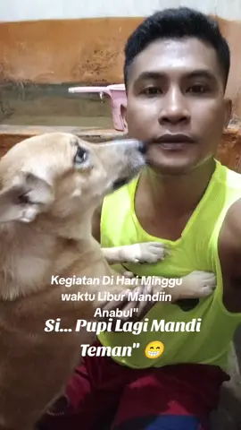 #Anabul #Doggy #LagiMandi #DiPagiHari #fyp #Viral #Trending #Sorotan #sorotan #SemuaOrang #kegiatandihariminggu burMandiinAnabulDoggy #PupiLagiMandiDiPagiHari #DanYangLainnya