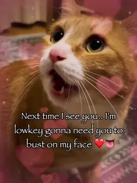 Next time I see you.. #rizz #catsoftiktok #fyp 