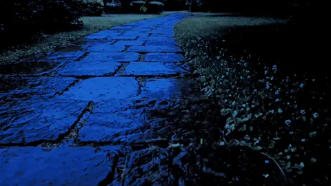 stay one minute here; take a deep breath and relax, btw you can save the dark ambient Spotify playlist 💙 Link in my bio. #bluehour #relaxing #darkambient #ambientmusic #oneheart #fyp 