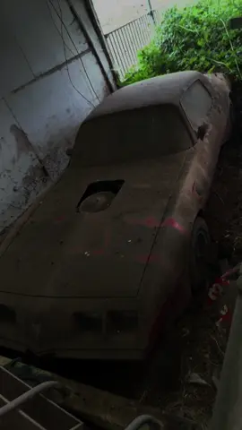 meant to be beautiful.                                           #firebird #transam #pontiac #barnfind #project #fyp