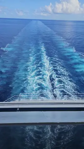 this is why I need a vacation from my vacation 🤪  #carnivalcruise #carnivalvalor #summervacay #2025 #summervibes #cozumel #anxiety #progresso 