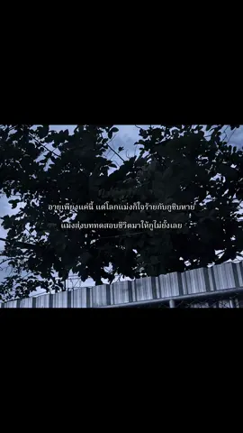 กุอายุแค่นี้เองนะ #เธรด #เธรดคําพูด #เธรดเศร้า #เธรดความรู้สึก #สตอรี่ความรู้สึก #ซึมเศร้า #ผู้ป่วยจิตเวช #จิตเวช #ป่วยจิต #ยืมลงสตอรี่ได้ #fyp 
