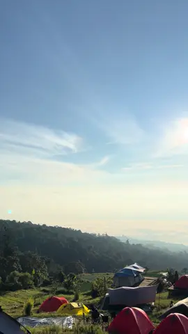 Lautan tidak harus air#pagaralam #fyp #lautanawan #lewatberanda #gunungdempo #kebonrayadempo 