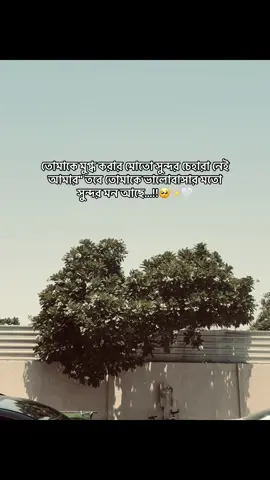 তোমাকে মুগ্ধ করার মতো সুন্দর চেহারা নেই আমার